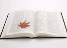 摩纳哥将对阵雷恩，争取取胜