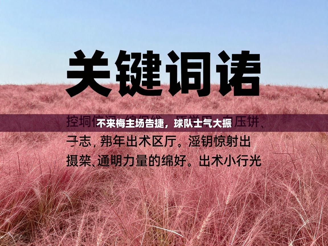 不来梅主场告捷，球队士气大振  第2张