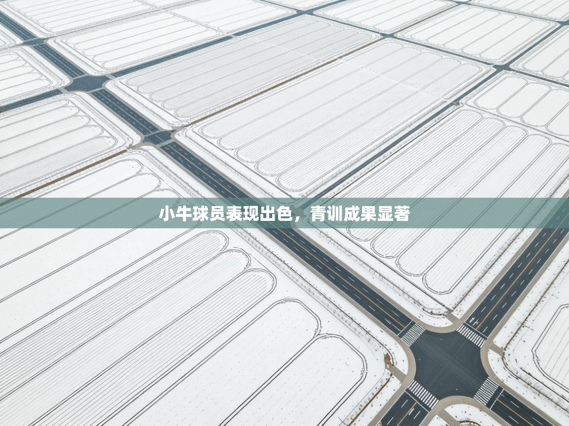 小牛球员表现出色，青训成果显著  第2张